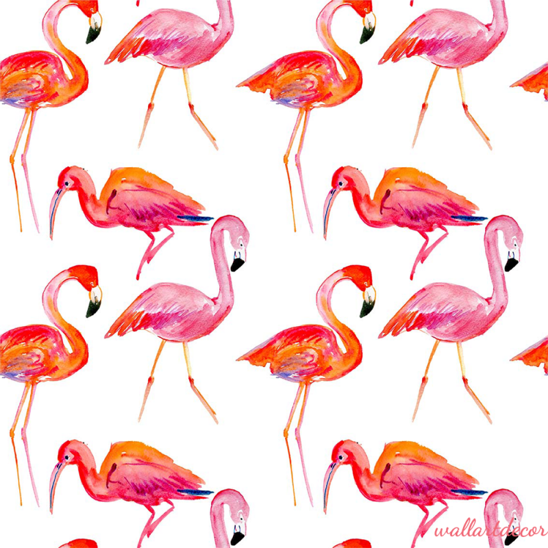 flamingós tapéta 7
