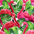  flamingók és levelek tapéta 5