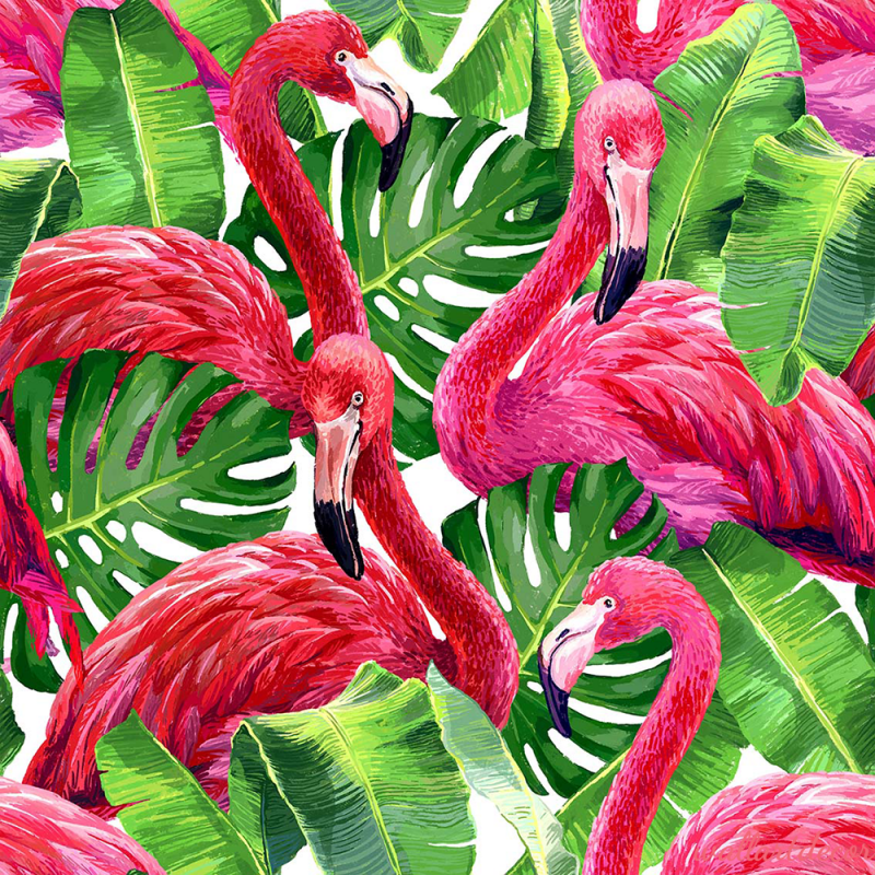  flamingók és levelek tapéta 4