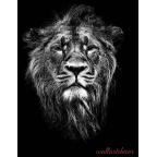 fekete,fehér oroszlán kép poszter tapéta 6