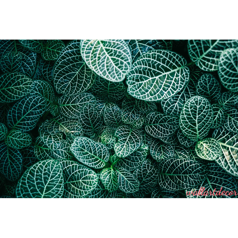 zöld kis levelek poszter tapéta 8